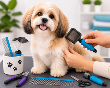 Grooming Essentials