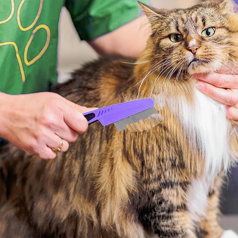 Flea Comb for Dogs & Cats