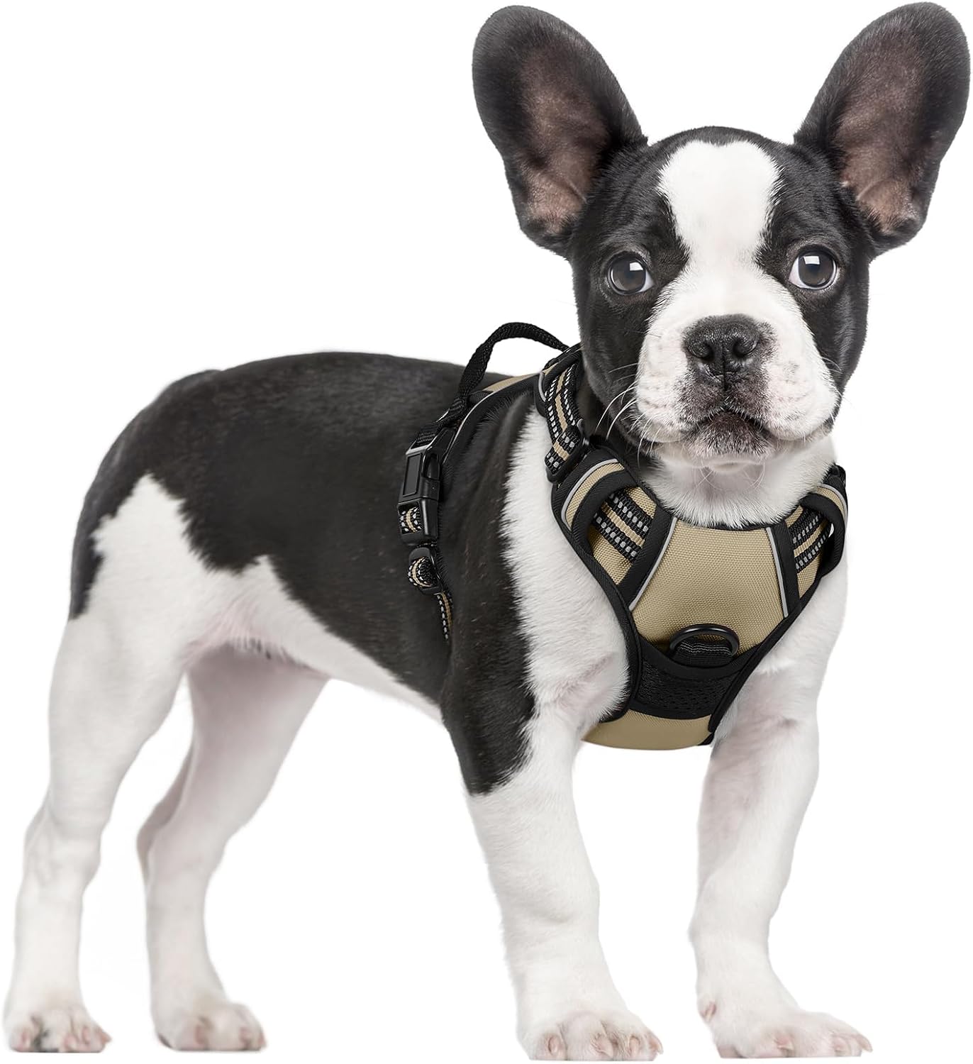 No-Pull Adjustable Dog Harness with Reflective Straps