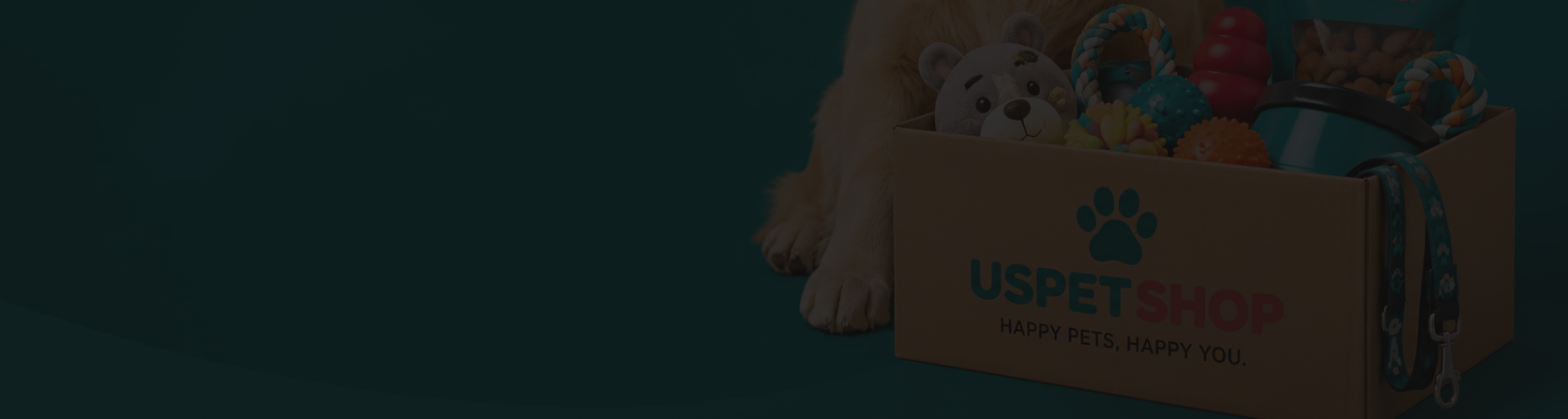 collection-banner-image