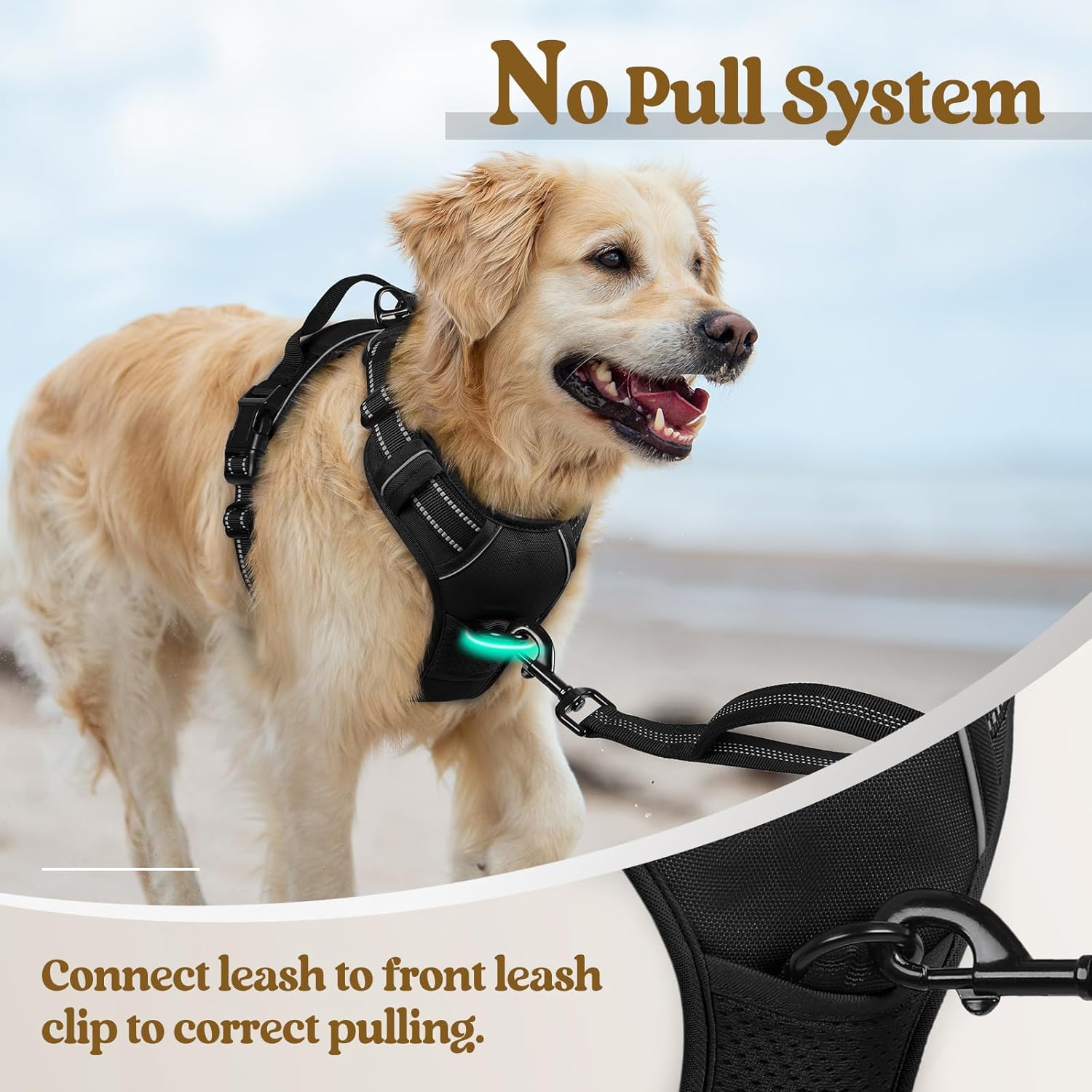No-Pull Adjustable Dog Harness with Reflective Straps