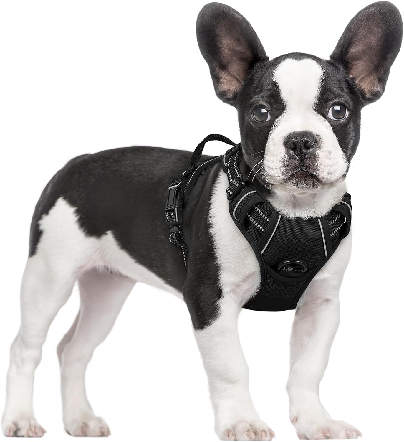 No-Pull Adjustable Dog Harness with Reflective Straps
