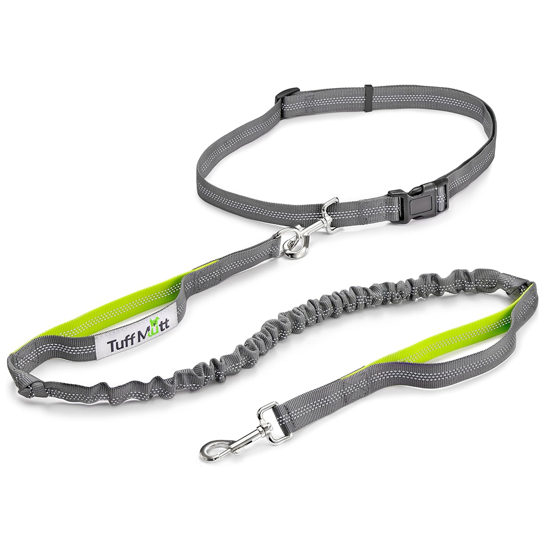 Heavy Duty Dual Handle Dog Leash | Reflective, Shock-Absorbing & Adjustable