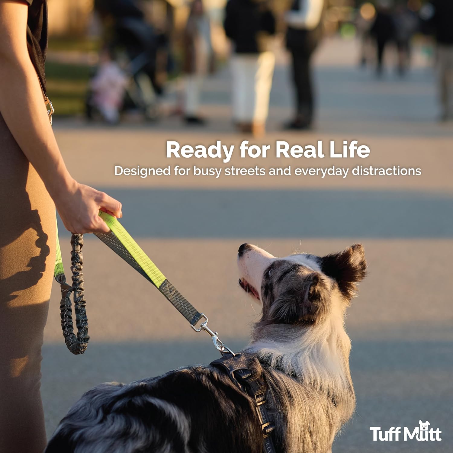 Heavy Duty Dual Handle Dog Leash | Reflective, Shock-Absorbing & Adjustable