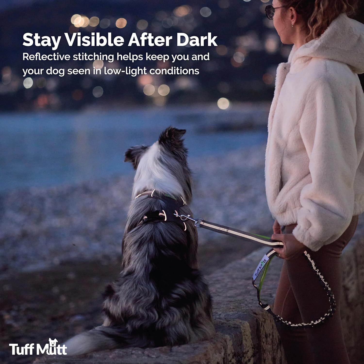 Heavy Duty Dual Handle Dog Leash | Reflective, Shock-Absorbing & Adjustable